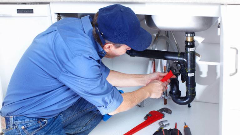 12916 2068a6410599 768x432