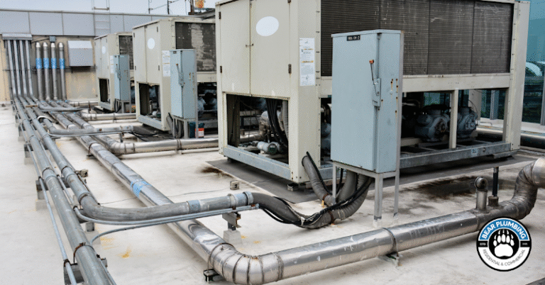 12928 b7f53e80c8e4 768x402