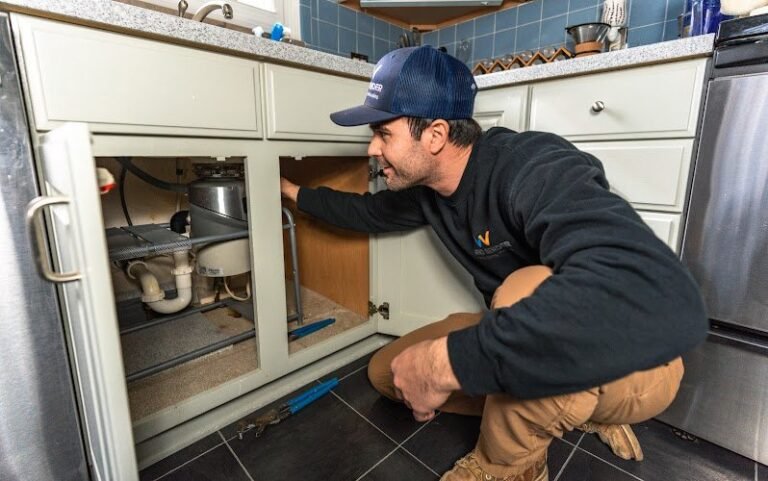 13067 0ff3932e32d9 768x481