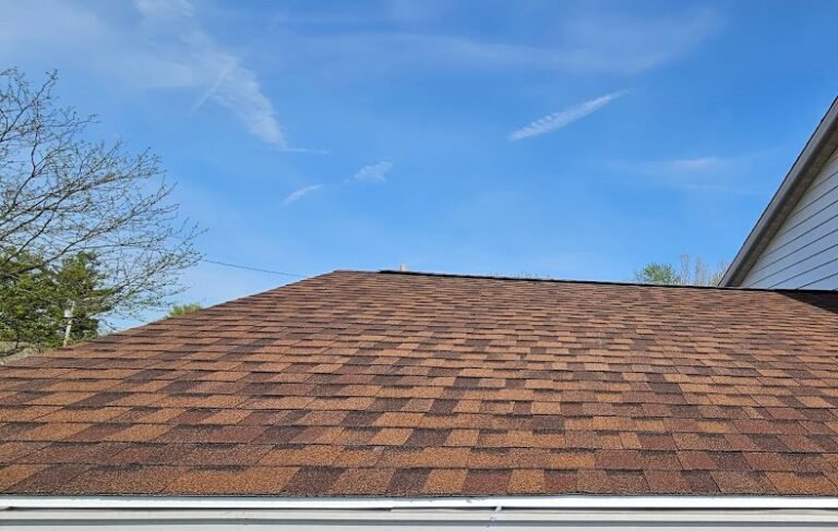 13305 633fc1844e33 768x487