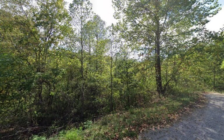 13560 08ac1b2a5729 768x480